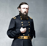 DP248334 Harrison Crop