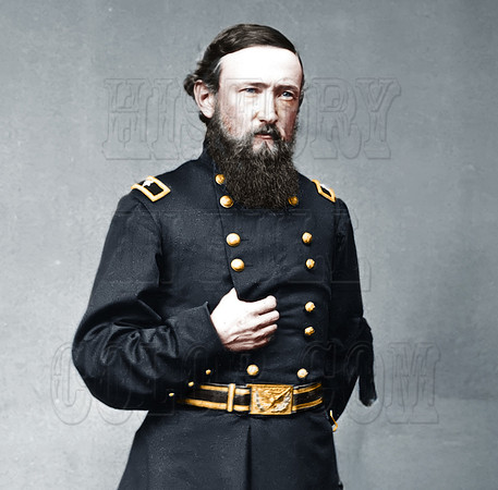 DP248334 Harrison Crop