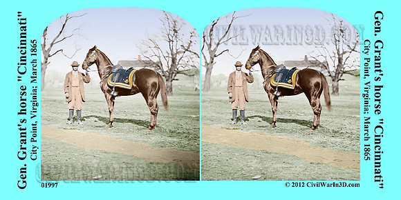 01997 - Gen. Grant's horse "Cincinnati"; City Point, Virginia; March 1865 (LC-DIG-cwpb-01997)
