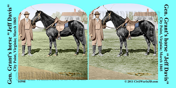 01998 - Gen. Grant's horse 'Jeff Davis'; City Point, Virginia; March 1865 [LC-DIG-cwpb-01998]