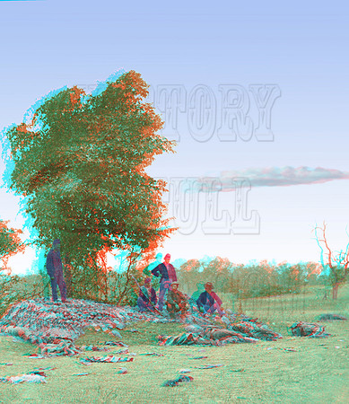 00548 - Confederate dead on Miller farm; Battlefield of Antietam, Sept. 19, 1862 (LC-DIG-cwpb-00548)
