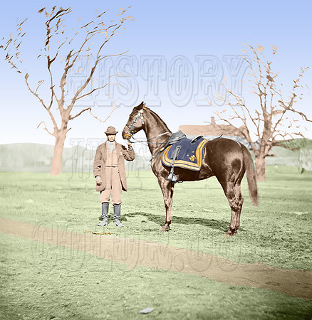 01997 - Gen. Grant's horse "Cincinnati"; City Point, Virginia; March 1865 (LC-DIG-cwpb-01997)