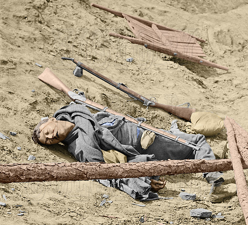 02539 - A Dead Rebel Soldier; Storming of Petersburg, VA; April 3rd, 1865 [LC-DIG-cwpb-02539]