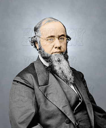 06437 - Edwin M. Stanton; United States Secretary of War, 1862-1868 [LC-DIG-cwpb-06437]