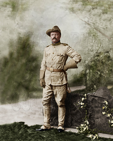 Col. Theodore Roosevelt - 36046