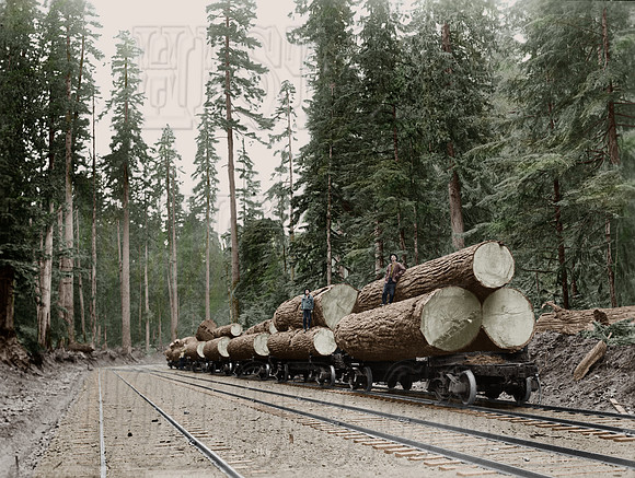 8b31110 - Logging train in Washington State - 1930