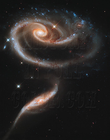 hs-2011-11-a 11x14
