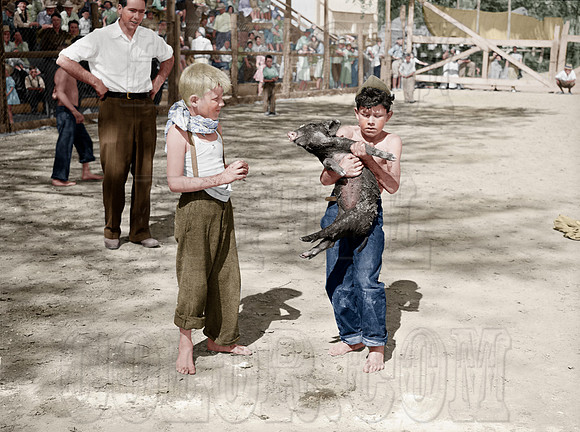 Fourth of July Celebration, The boy who caught the greased pig; Vale, Oregon - 8c01681