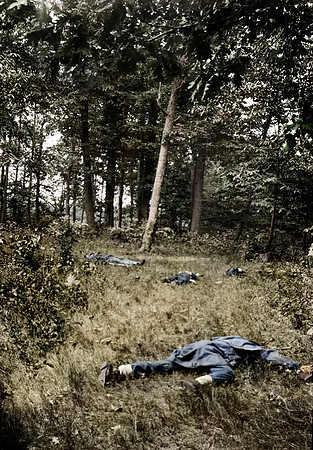Dead on Battlefield at First Bull Run