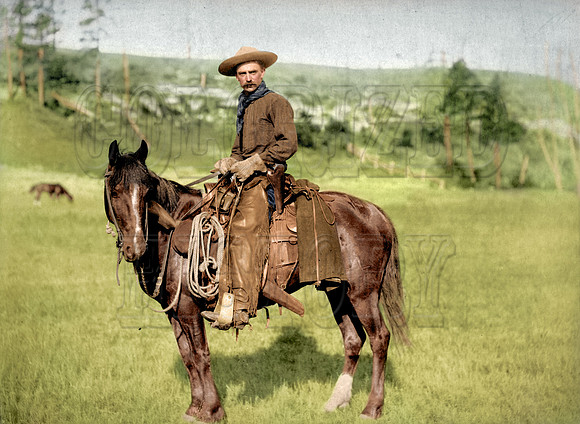 'The Cowboy'