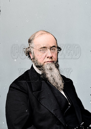 Edwin M. Stanton, officer of the United States government