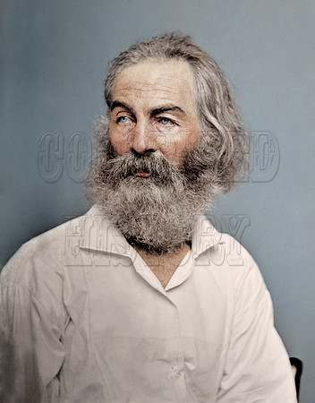 Walt Whitman 2