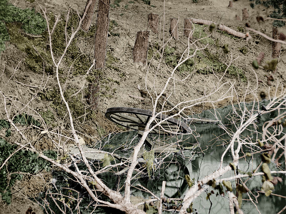 Chicksaw Bayou, Mississippi. The poison spring - 00446