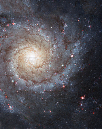 hs-2007-41-a 11x14