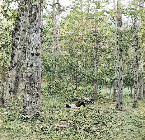 Battered trees on Culp's Hill, Gettysburg, PA - 01645
