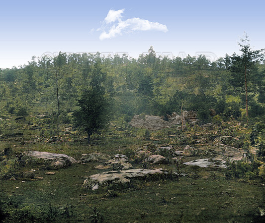 View of Little Round Top, Gettysburg, PA - 03970