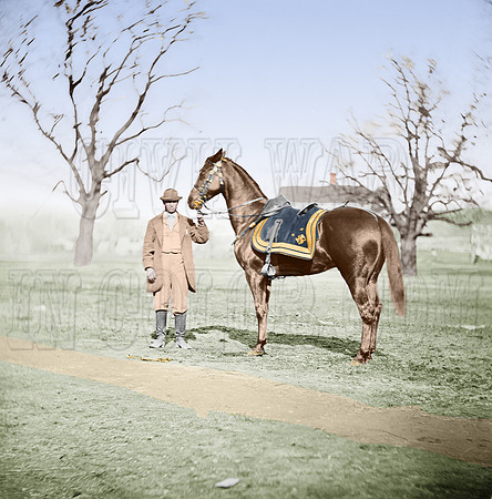 01997 - Gen. Grant's horse "Cincinnati"; City Point, Virginia; March 1865 (LC-DIG-cwpb-01997)